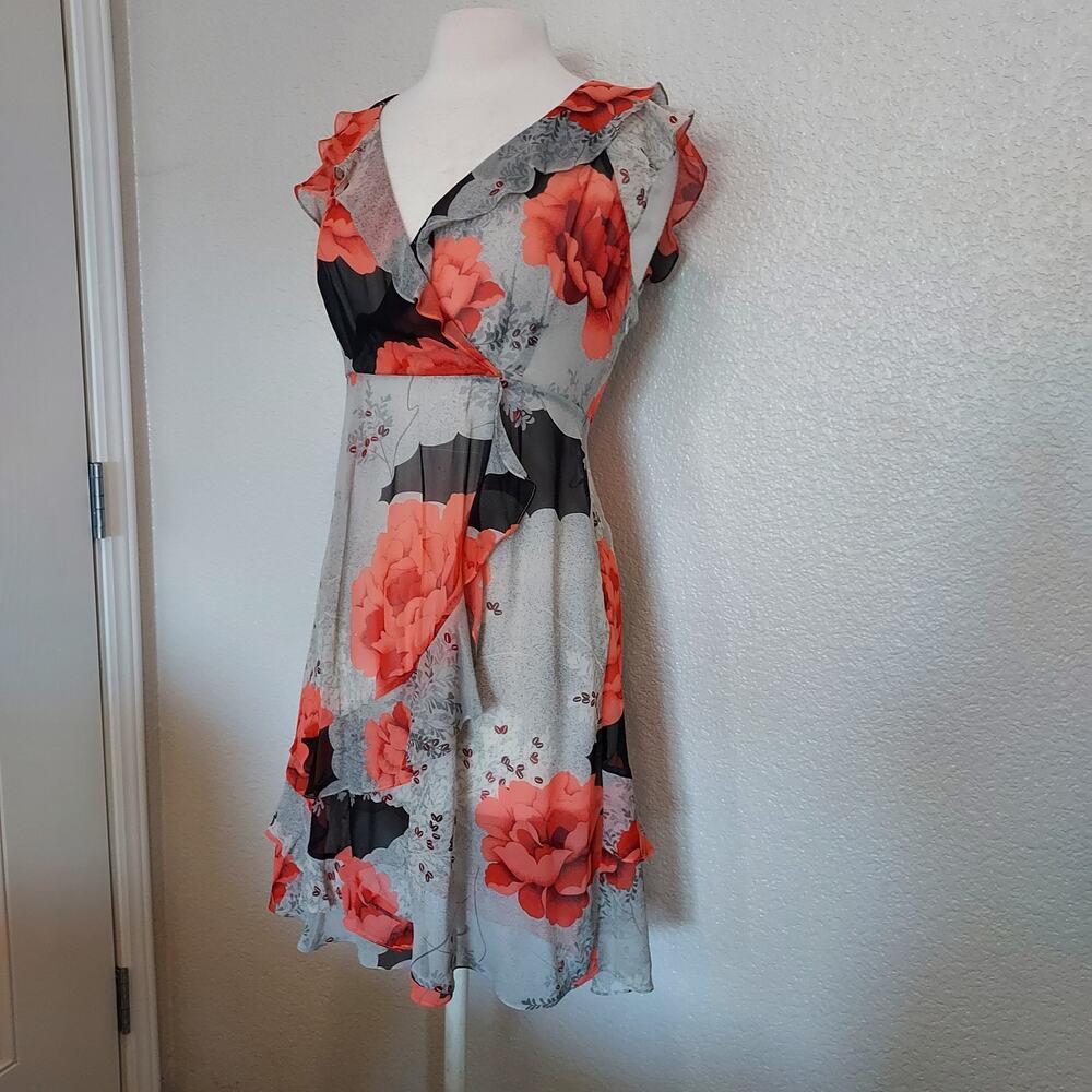 Moulinette Soeurs Sheer Coral Silk Spring Dress Size 6 - Picture 6 of 12